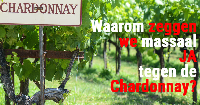 Waarom zeggen we JA tegen de Chardonnay?